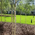 Wilanow Apartmán *